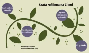 Co to jest szata roślinna i jak wpływa na nasze środowisko?