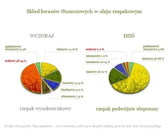 Czy olej rzepakowy to olej roślinny? Odkryj jego zdrowotne korzyści